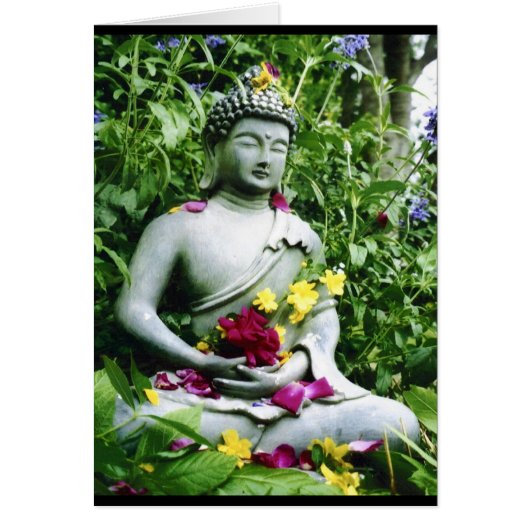 Serenity Cards (Front)