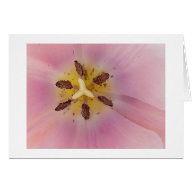 Serenity Cards (Front Horizontal)