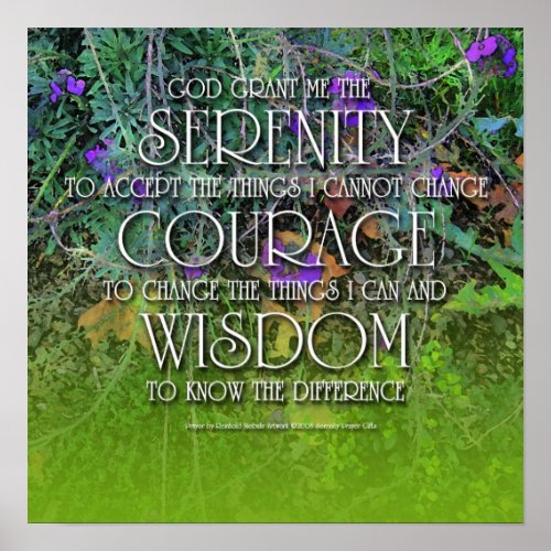 Serenity Courage Wisdom 2 Poster