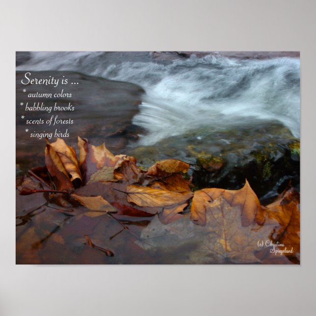 Serenity Creek Leaves Poster (Front)