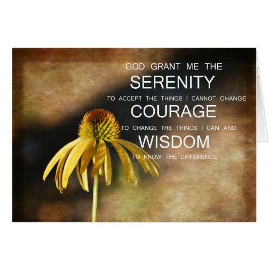 Serenity Echinacea Floral Cards (Front Horizontal)