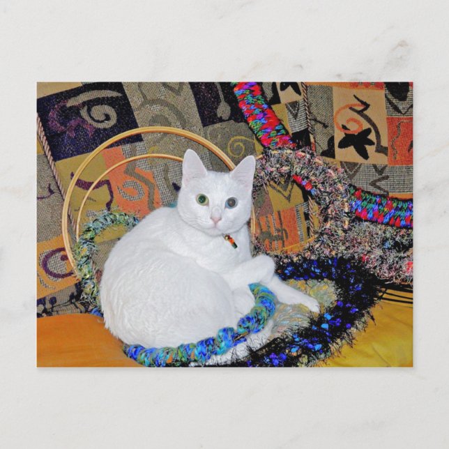 Serenity encircled Postcard (Front)