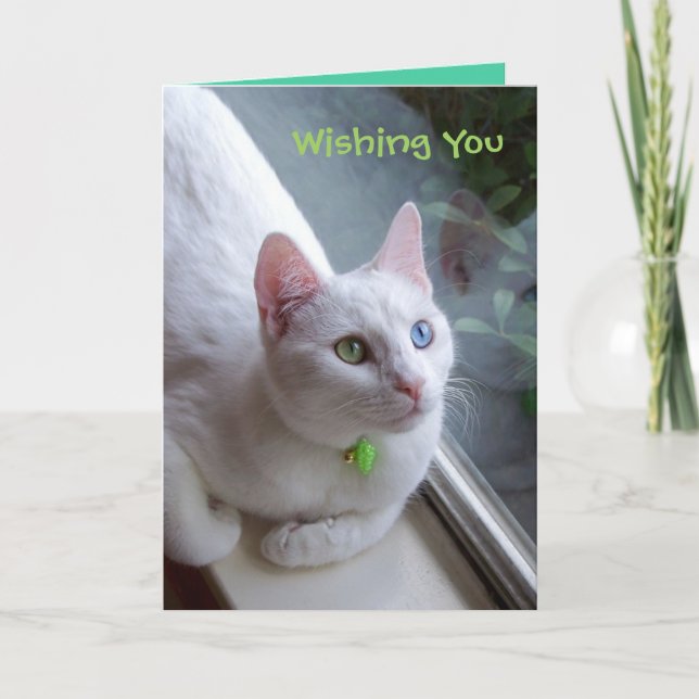 Serenity holiday card (Front)