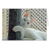 Serenity hug Card (Front Horizontal)