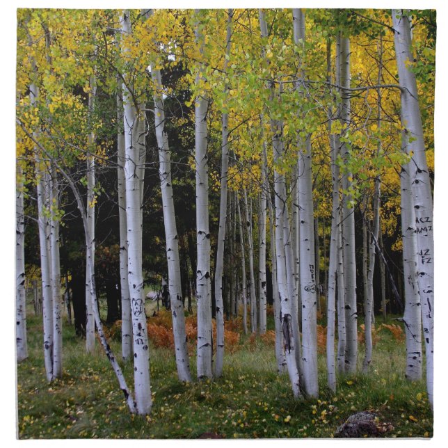 Serenity in Gold and Green Aspen's Cloth Napkin (Front)