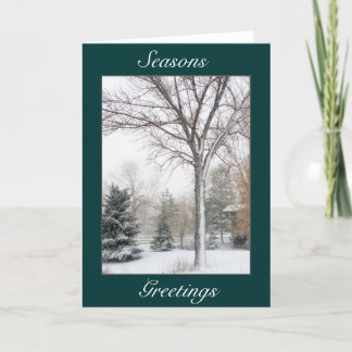 Serenity in the Blizzard Holiday Card