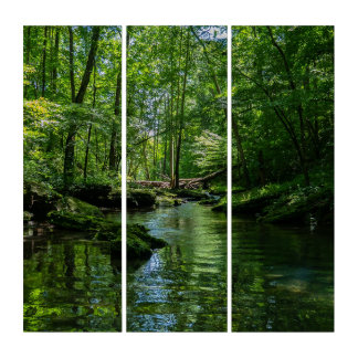 Serenity in the forest triptych