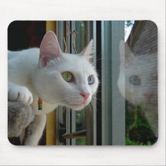 Serenity interested mousepad