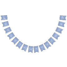 Serenity Light Blue & White Script Letters Custom