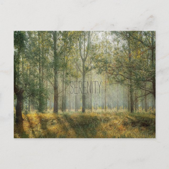 Serenity Nature Postcard (Front)