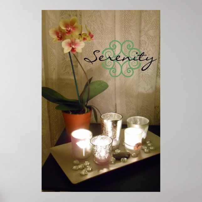 Serenity Orchid Poster (Front)
