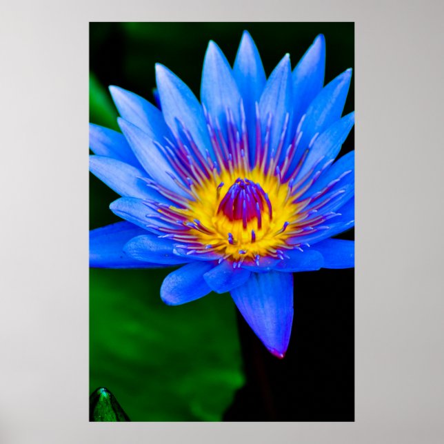 Serenity - poster (Front)