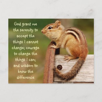 Serenity Prayer Chipmunk Postcard by Meg_Stewart at Zazzle