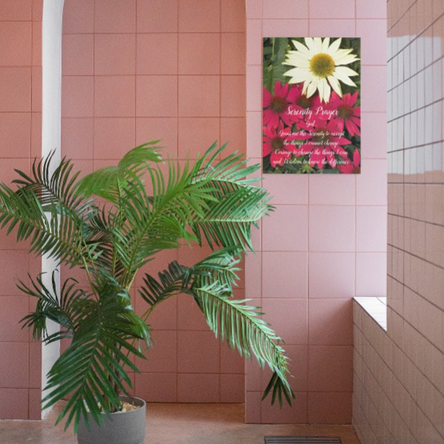 Serenity Prayer Coneflowers Floral Acrylic Print (In Situ)