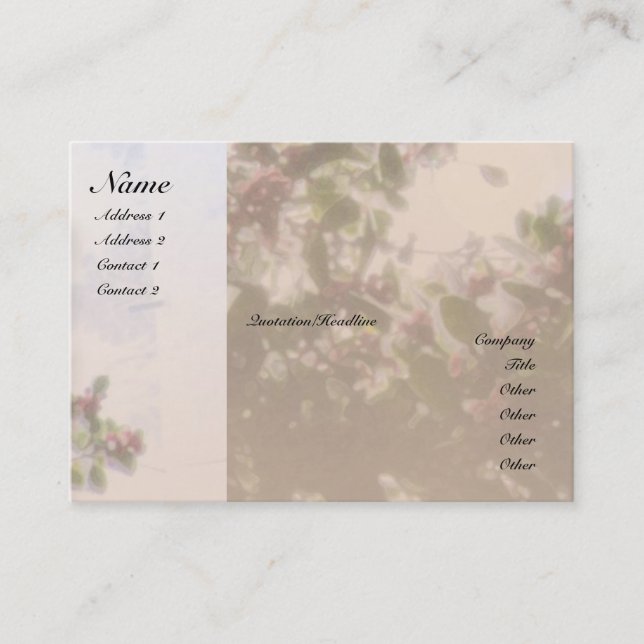 Serenity Prayer Holly Profile Card (Front)