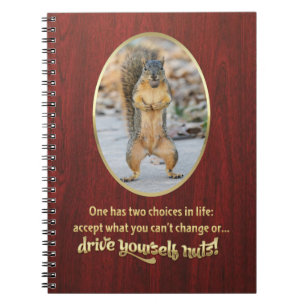 Serenity Prayer in a Nutshell! Notebook