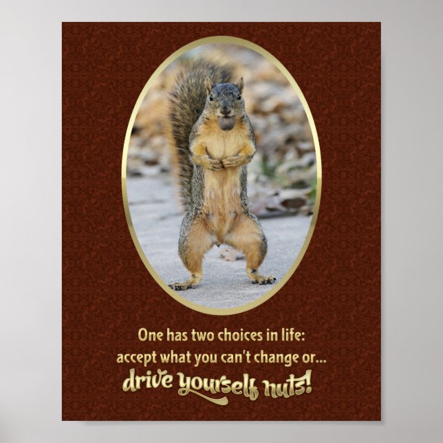 Serenity Prayer in a Nutshell Poster (Front)