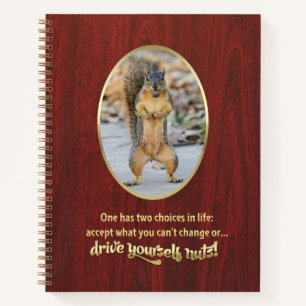 Serenity Prayer in a Nutshell Spiral Notebook