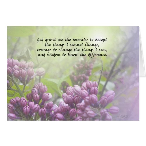 Serenity Prayer Lilac Buds