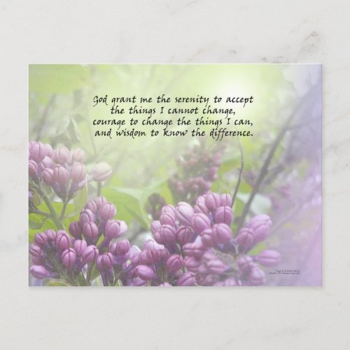 Serenity Prayer Lilac Buds Postcard