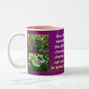 serenity prayer photos / message mug 15c