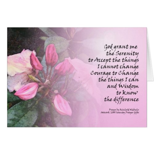 Serenity Prayer Pink Rhodies Card