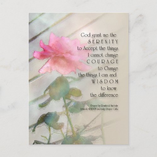 Serenity Prayer Pink Rose Postcard