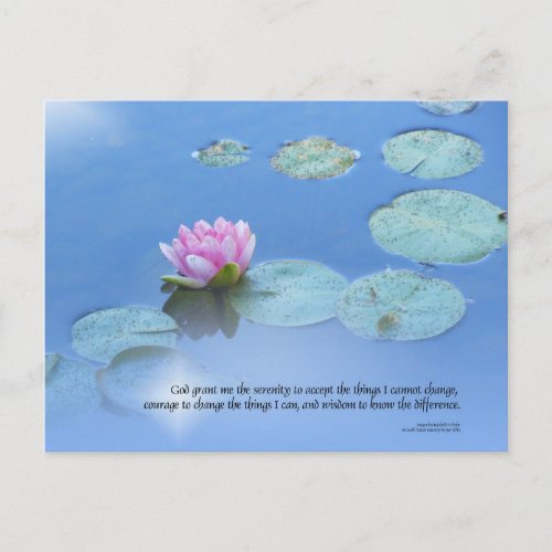 Serenity Prayer Pink Water Lily Postcard