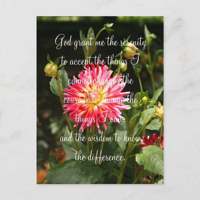 Serenity Prayer Postcard (Front)