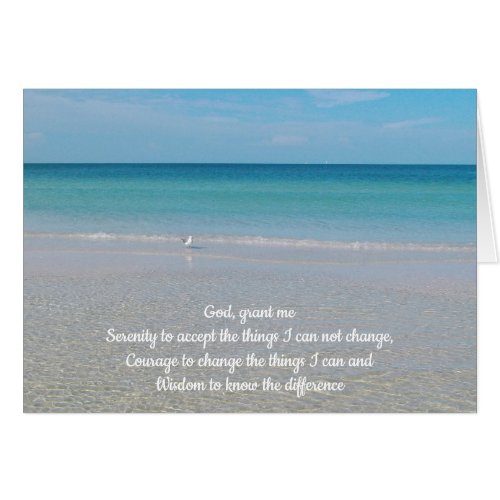 Serenity Prayer Sea Gull an the Beach