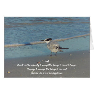 Serenity Prayer Sea Gull an the Beach Cards