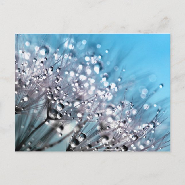 Serenity Prayer Sparkling Dew Sky Blue Background Postcard (Front)