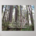 Serenity Prayer Sunlit Forest inspirational poster