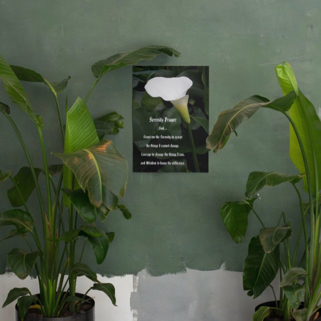 Serenity Prayer White Calla Lily Floral Acrylic Print (In Situ)
