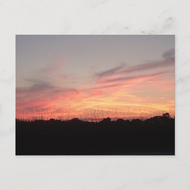 Serenity Series Postcard Night (Front)