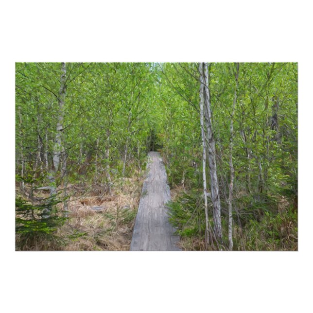 Serenity Trail Photo Print (Front)