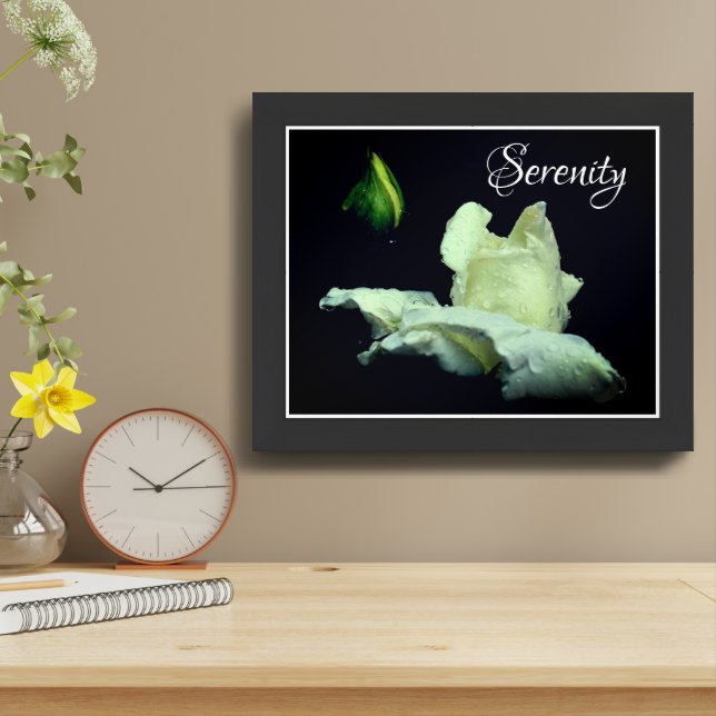 Serenity White Rosebud Inspirational Words Framed Framed Art (Table Top)