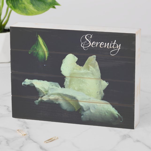 Serenity White Rosebud Inspirational Words Wooden Box Sign (In Situ Horizontal)
