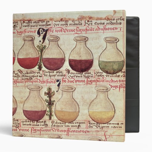 Series of flagons for urine analysis 3 ring binder