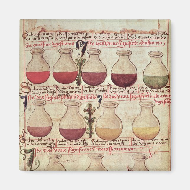 Series of flagons for urine analysis magnet (Front)