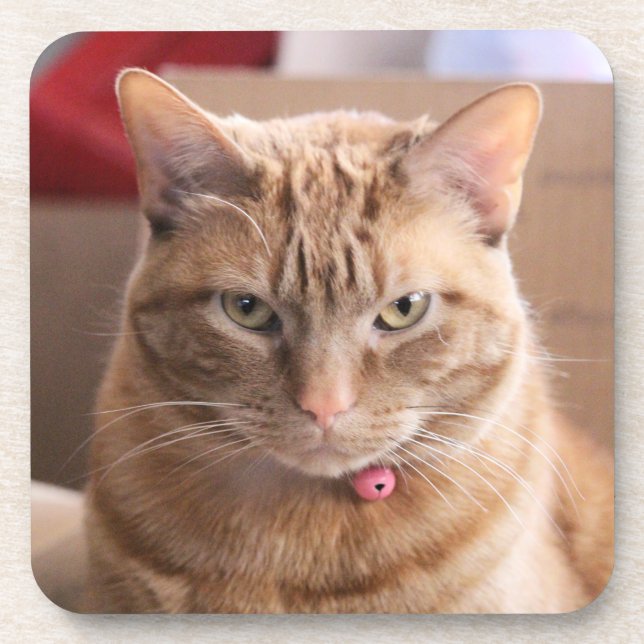 Serious Beverage Coaster (Front)