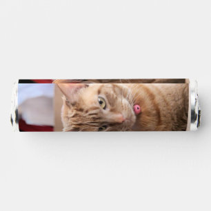 Serious Breath Savers® Mints