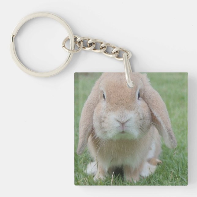 serious bunny photo keychain (Front)