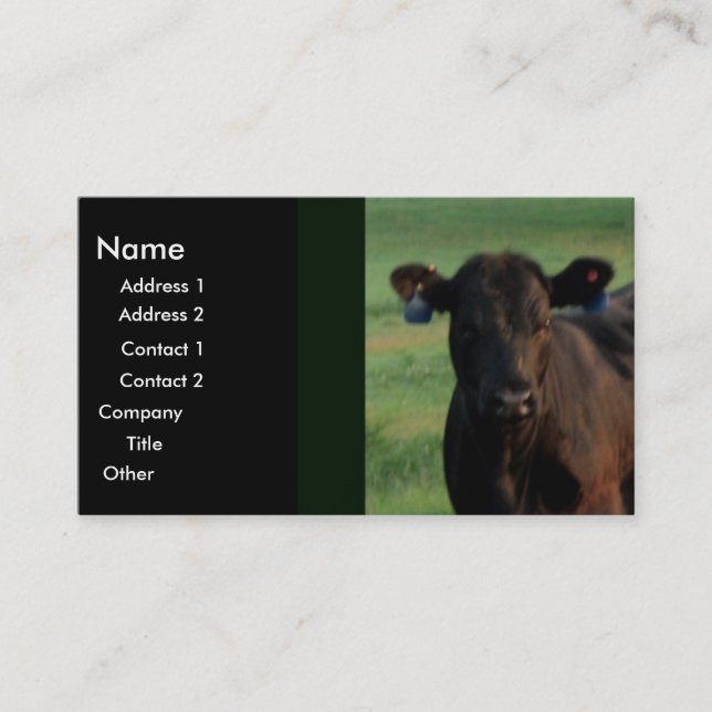 Serious Business Business Card (Front)