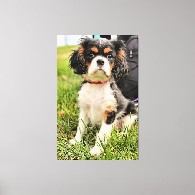 Serious Canvas Print (Front)