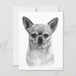Serious Chihuahua Hand Painted Dog Artwork Postcard