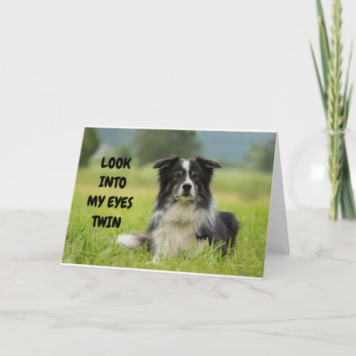 SERIOUS DOG WANTS TWIN HAVE HAPPIEST BIRTHDAY CARD
