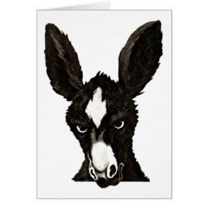 Serious Donkey-Write Your Own Witty Text Cards