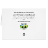 Serious Green-Eyed Tabby Cat Cards (Back Horizontal)