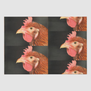 Serious hen tissue paper